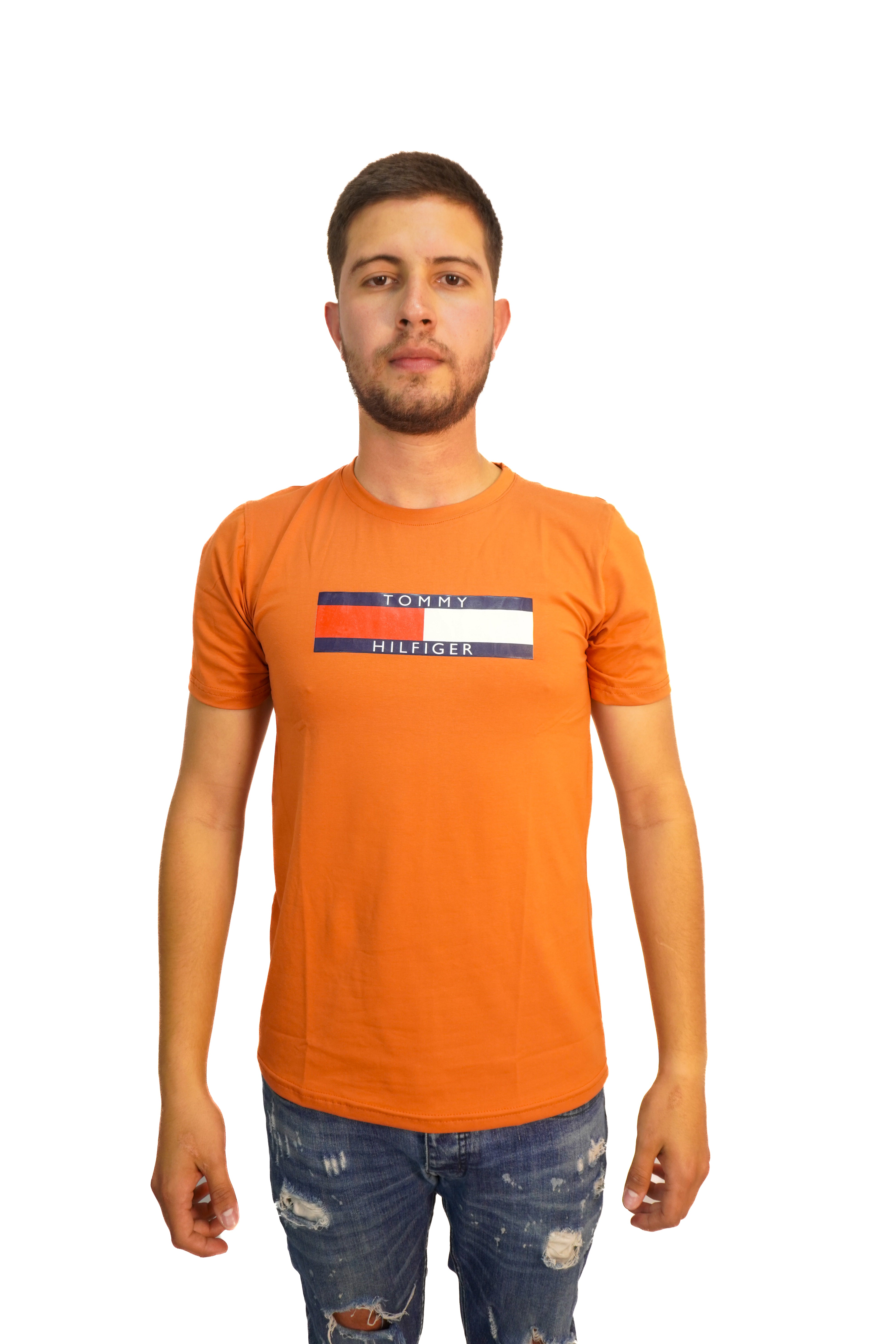 Camiseta Tommy Hilfiger