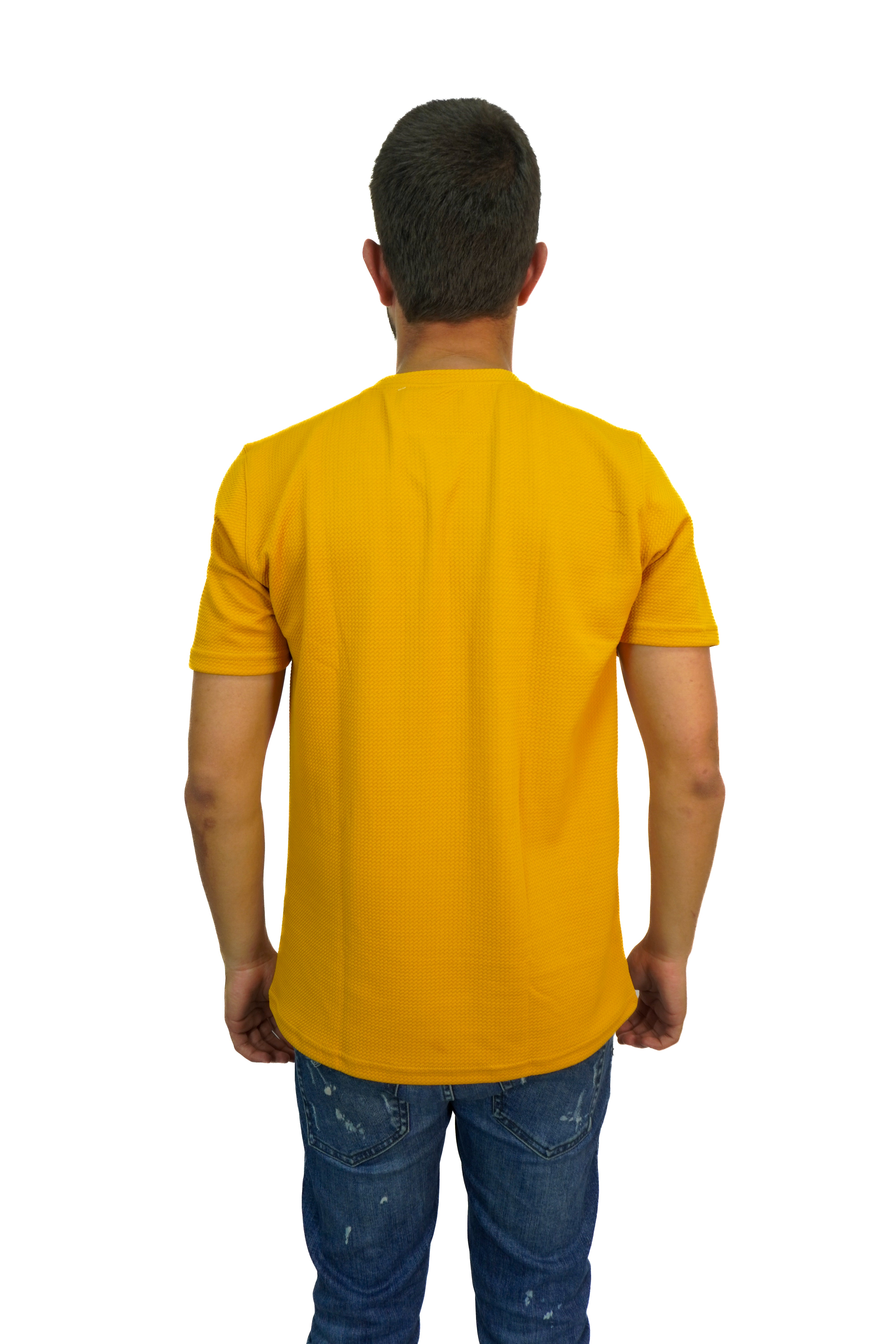 Camiseta DXT
