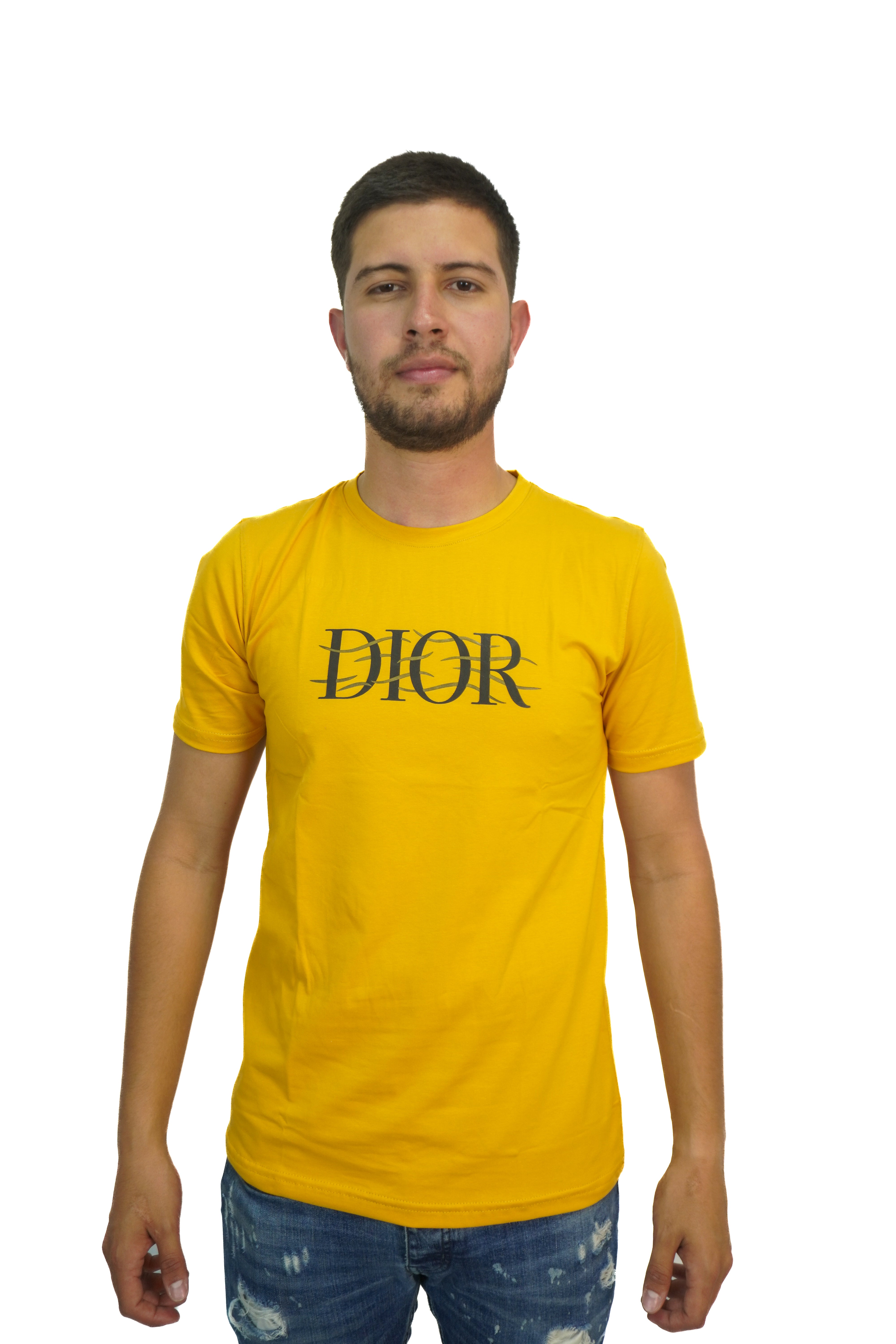 Camiseta Dior