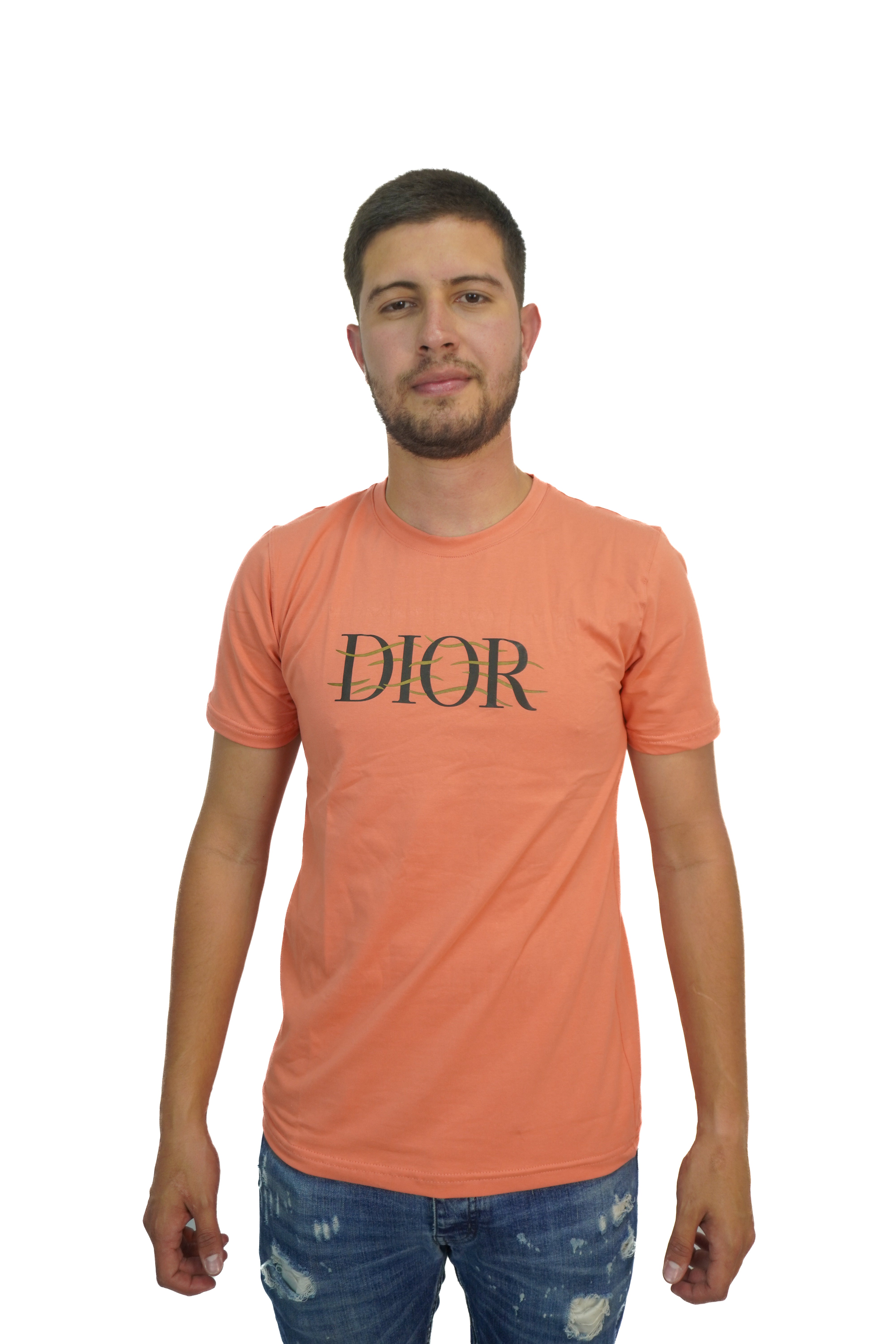 Camiseta Dior